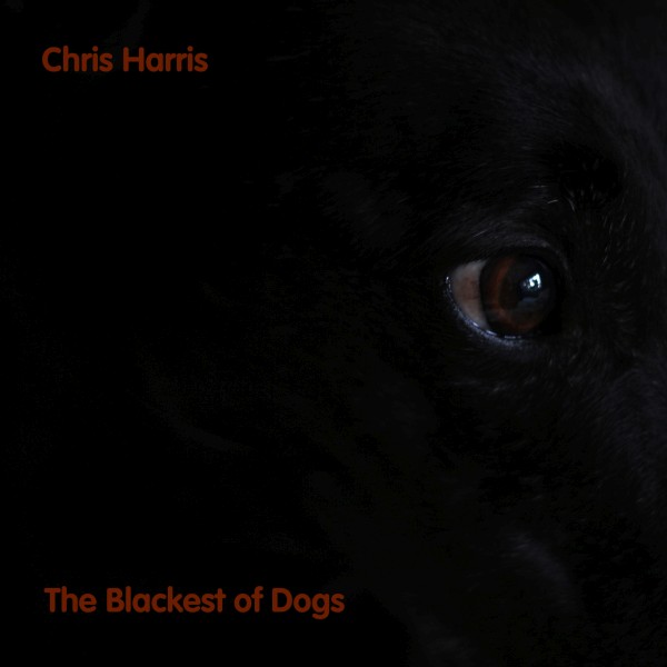 The Blackest of Dogs